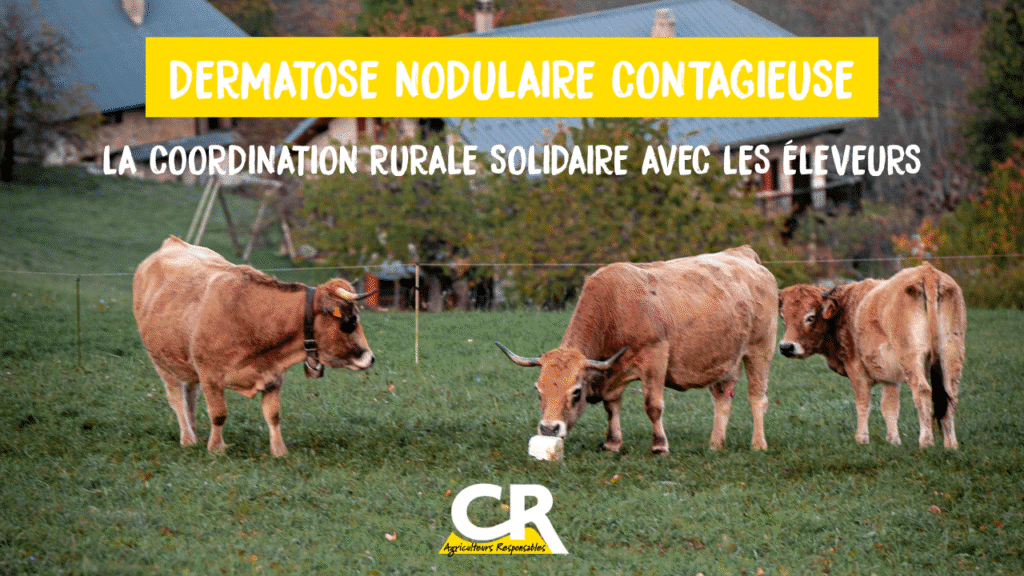 Visuel HelloAsso